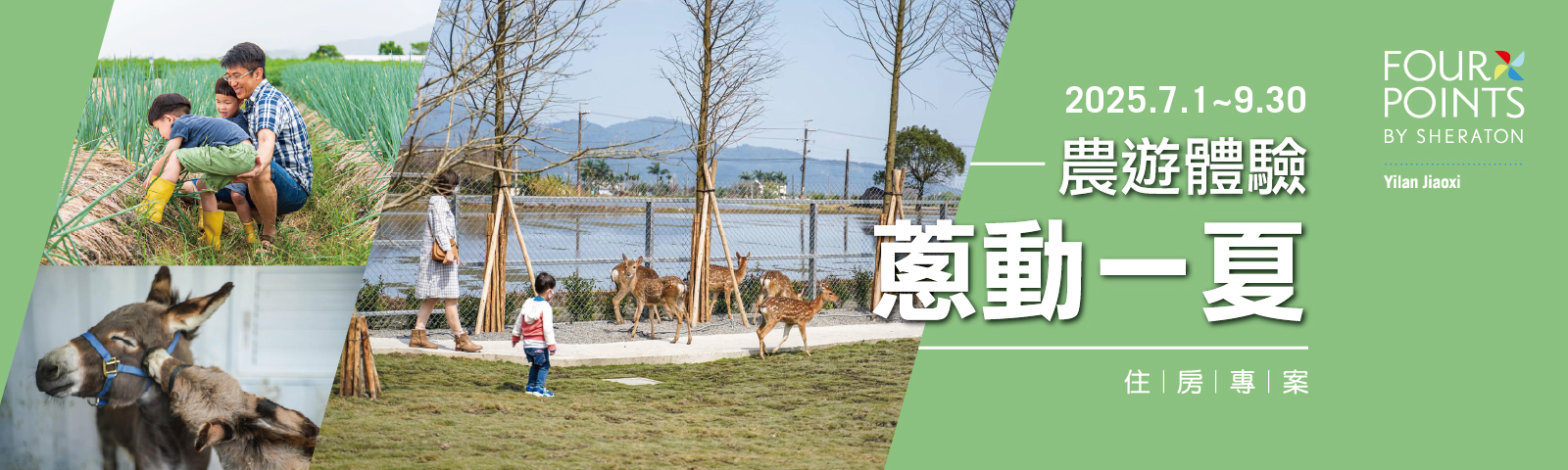 2025-0422 蔥動一夏Banner-1600x480 2025-0422 蔥動一夏Banner-1600x480